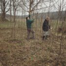 Som-mag gyümölcsös