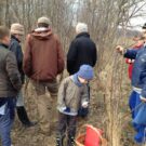 Som-mag gyümölcsös