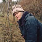 Som-mag gyümölcsös