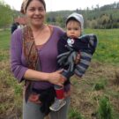 Som-mag gyümölcsös